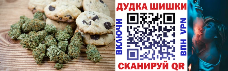 купить   Циолковский  hydra   Печенье с ТГК конопля 