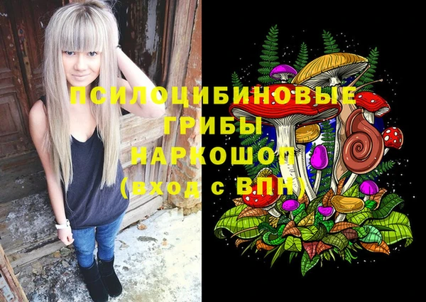 Альфа ПВП Белокуриха